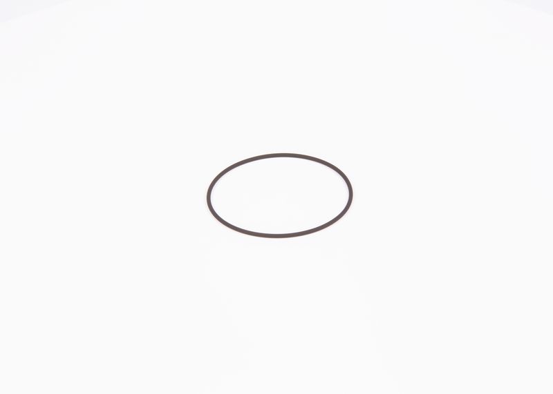 Inel de etansare F 01M 100 371 BOSCH