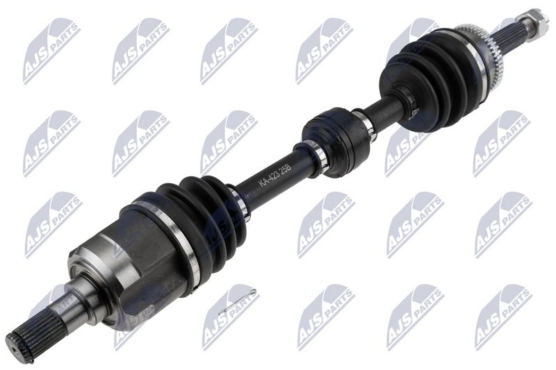npw-ka-423_1-wm.JPG