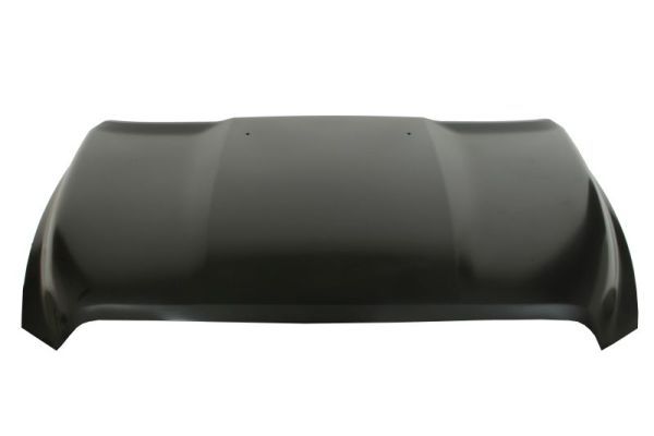 Product Motora pārsegs BLIC 6803-00-0935280AP Image