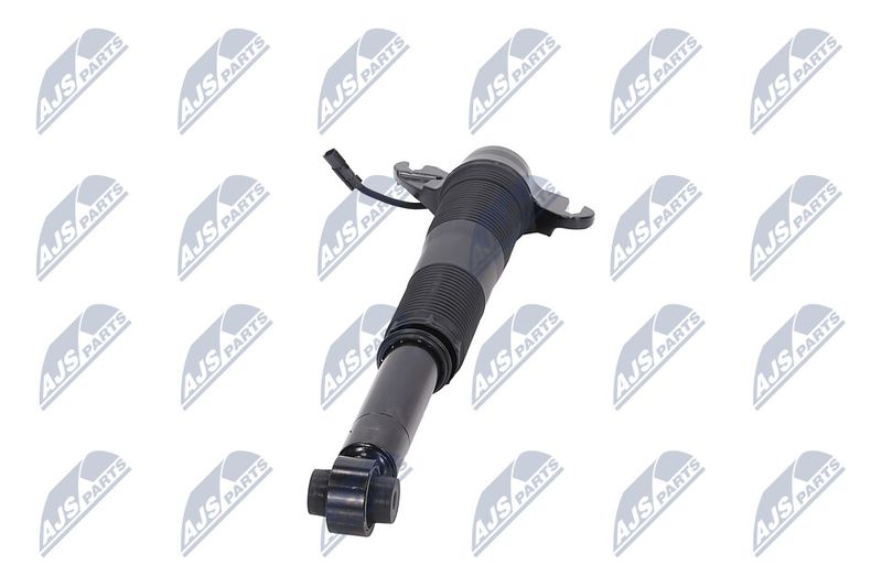 Amort, NTY A-LR-021