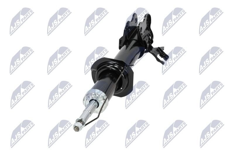 Amort, NTY A-NS-008