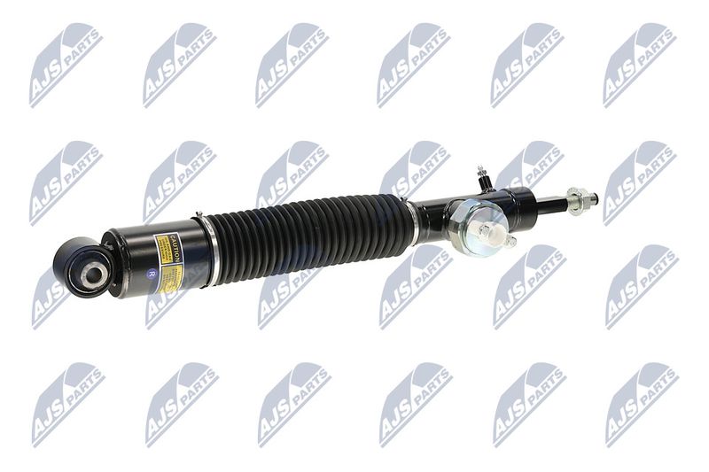 Amort, NTY A-NS-056
