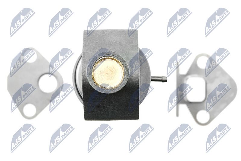 EGR-klapp, NTY EGR-SK-001