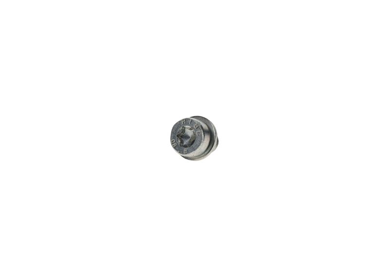BOSCH F002D13663 Screw