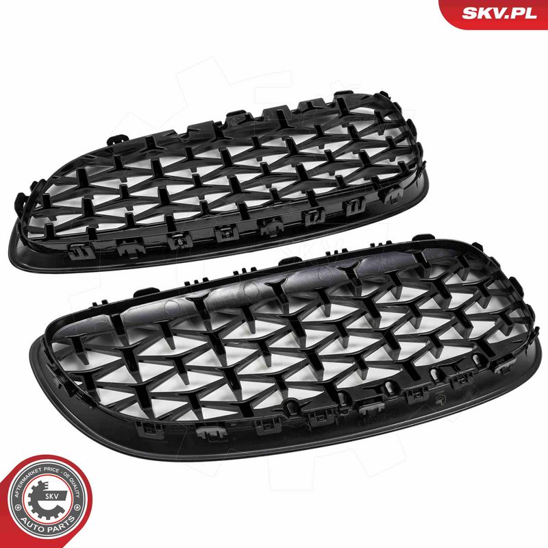 Radiaatorivõre, ESEN SKV 66SKV313