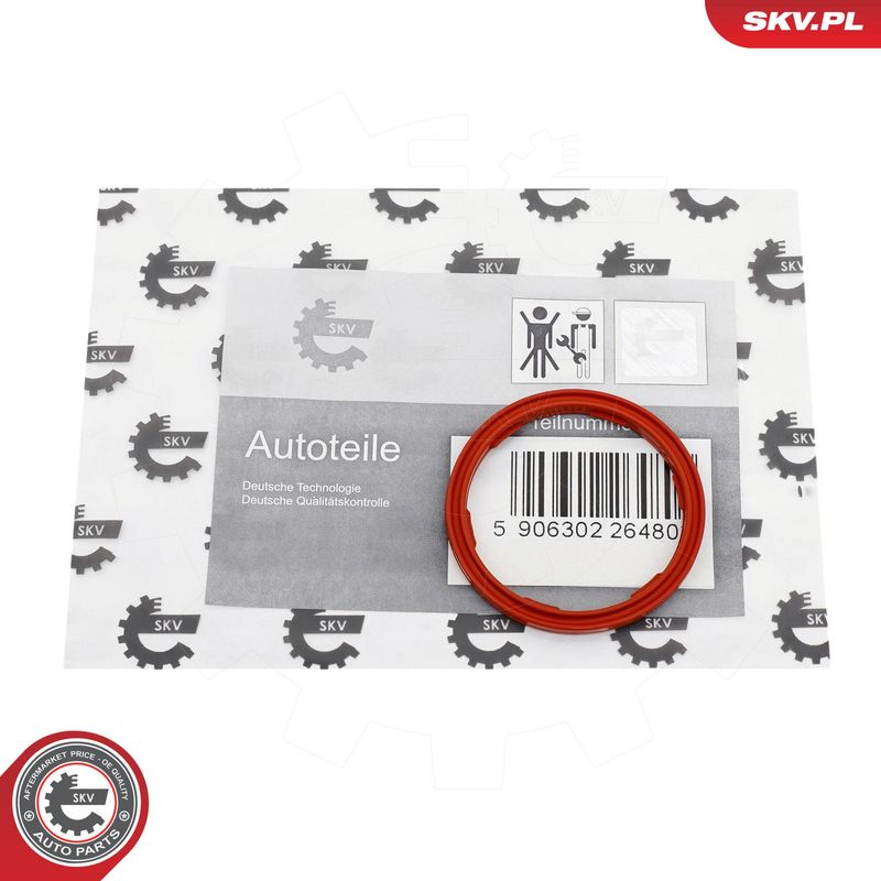 Prekės atitinka OEM kodą: 6238989