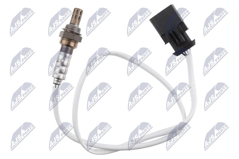 ESL-BM-023_1-WM.JPG