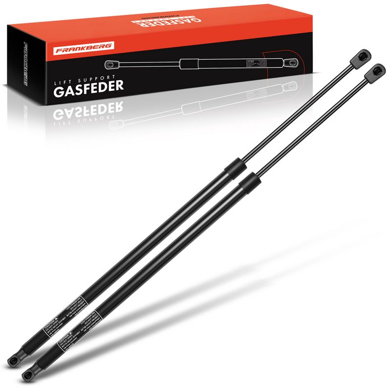 Frankberg 5481FB0039605 - Gas Spring, boot/cargo area