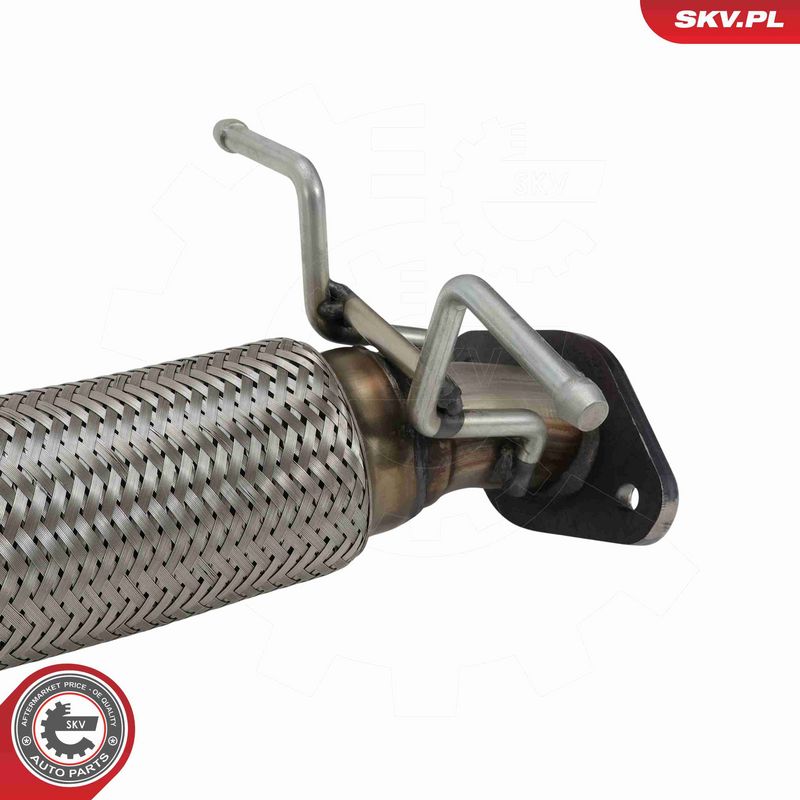ESEN SKV 62SKV174 Katalizatorius