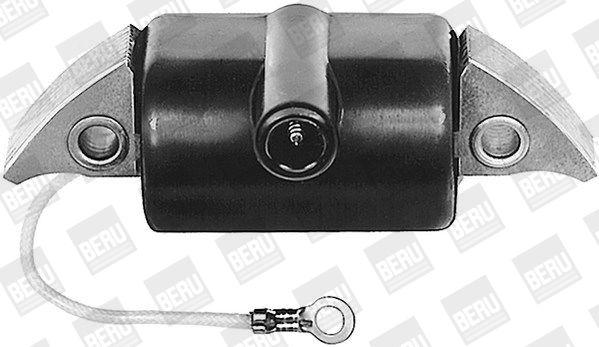 BorgWarner (BERU) ZA509 Ignition Coil