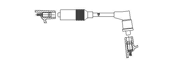 1A19_.JPG