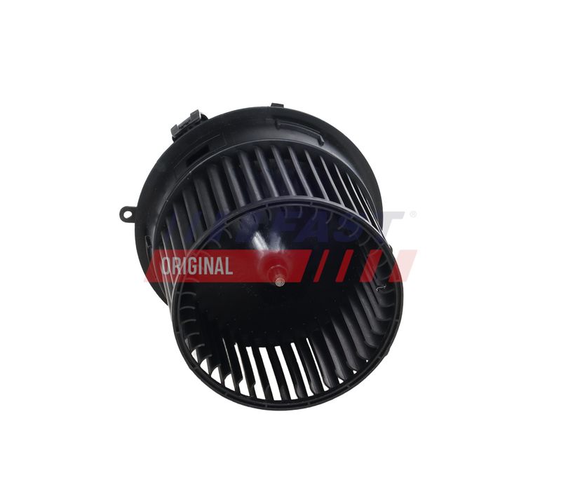 Salongipuhur, FAST FT13821
