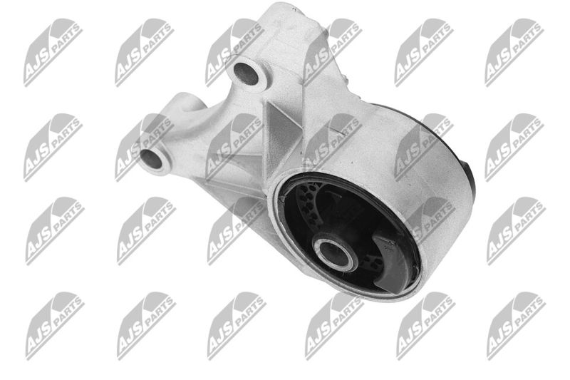 Paigutus, Mootor, NTY ZPS-PL-069