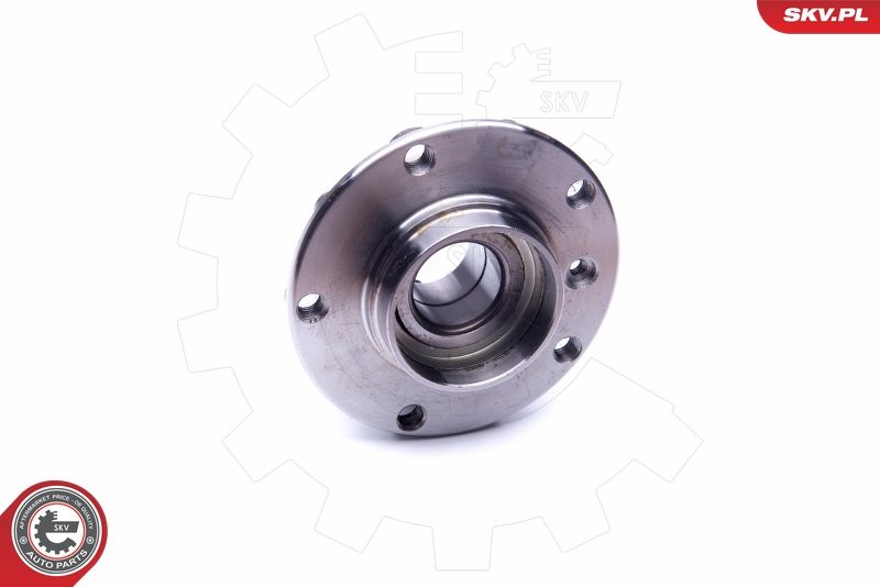 ESEN SKV 29SKV190 Wheel Bearing Kit