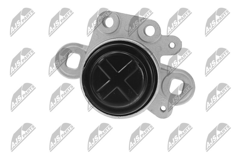 Paigutus, Mootor, NTY ZPS-FR-044