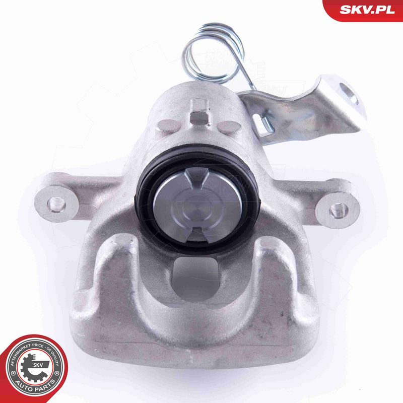 ESEN SKV 55SKV193 Brake Caliper