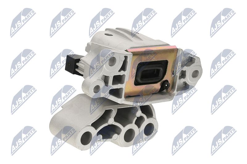 Paigutus, Mootor, NTY ZPS-CH-131