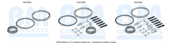 BM CATALYSTS szerelőkészlet, katalizátor FK91259