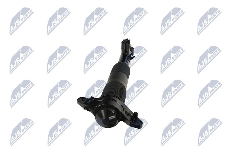 Amort, NTY A-LR-037