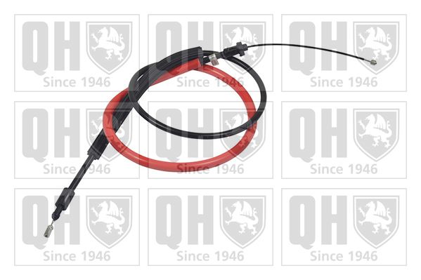 QH_BC3303.JPG