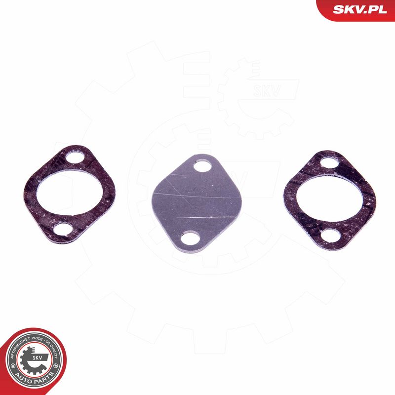 Set de reparație, supapă AGR ESEN SKV 14SKV550
