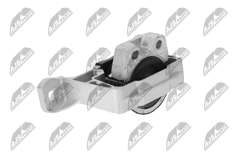 Paigutus, Mootor, NTY ZPS-FR-045