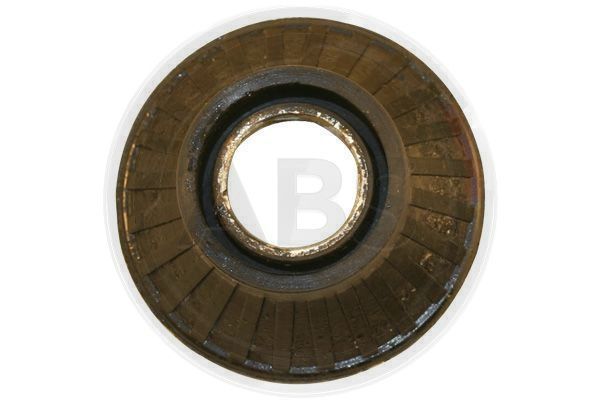 270573.JPG