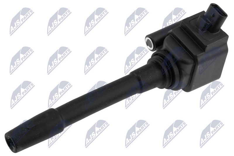 ECZ-FT-023_1-WM.JPG