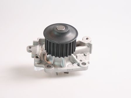 P7715.JPG