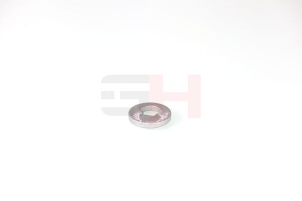 caster shim, sillatala, GH GH-391582