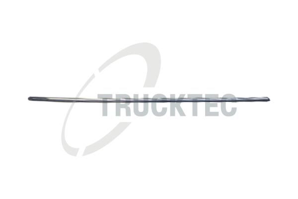 TRUCKTEC AUTOMOTIVE 02.52.001 - Trim/Protection Strip, wing