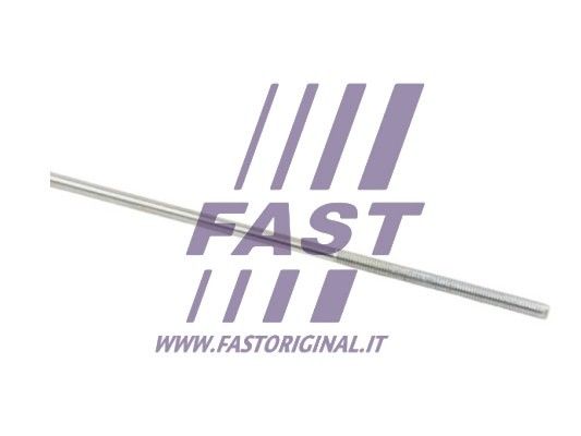 FT95754_3_1.JPG