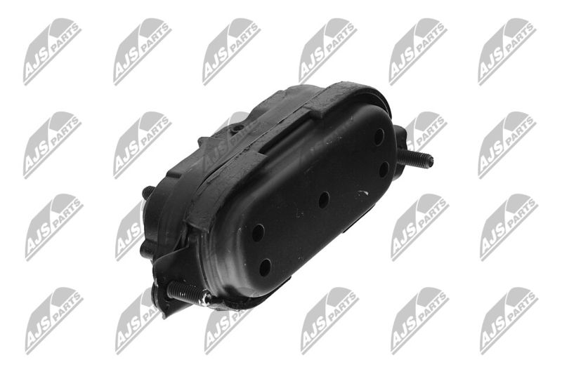 Paigutus, Mootor, NTY ZPS-CH-115