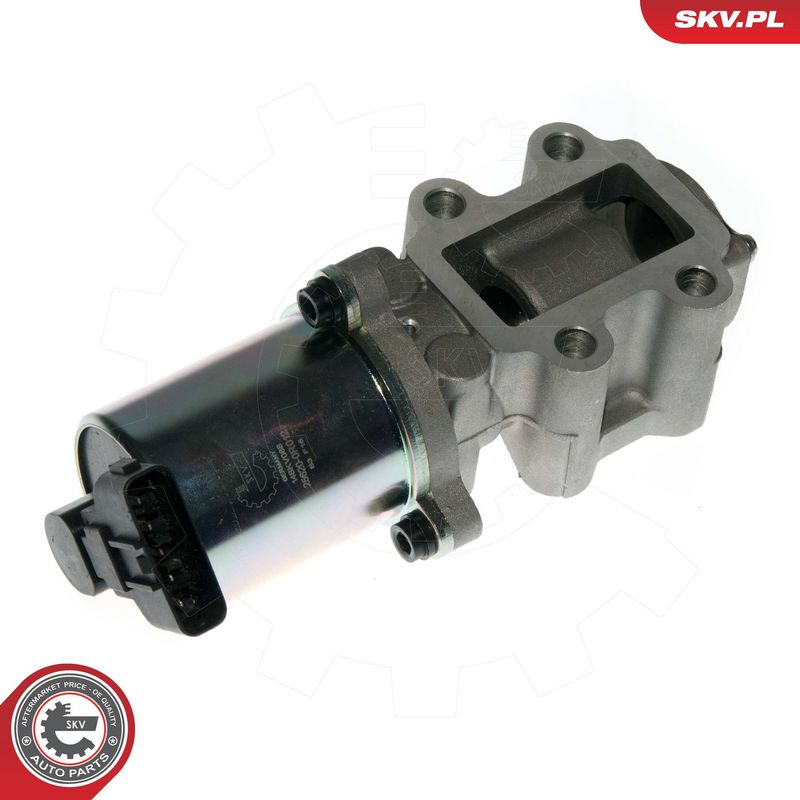 EGR-klapp, ESEN SKV 14SKV088