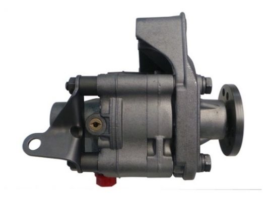 SPIDAN 53615 Hydraulic Pump, steering