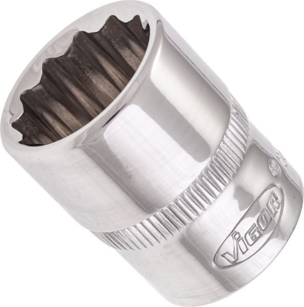 Padrun, VIGOR V7538-17