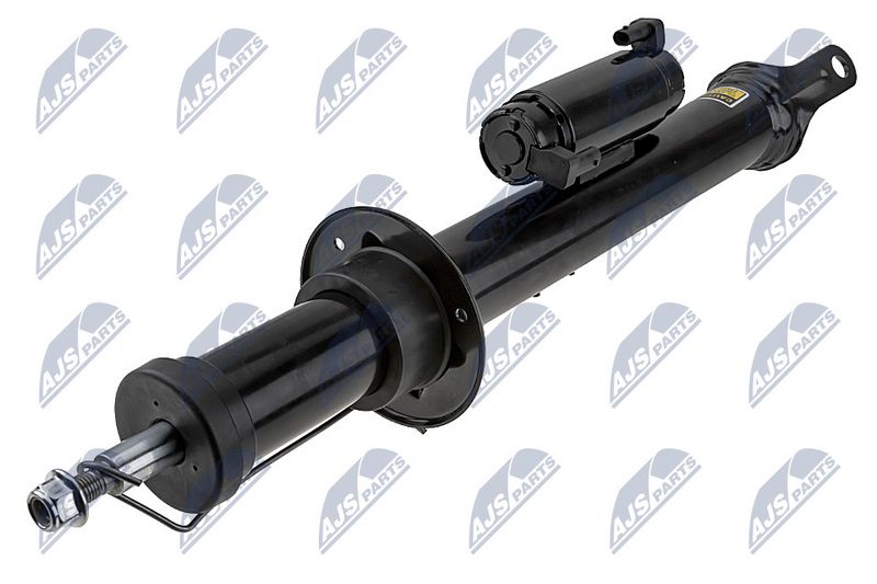 Amort, NTY A-BM-015