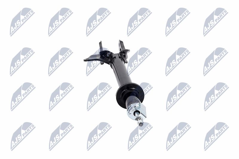 Amort, NTY A-CH-082