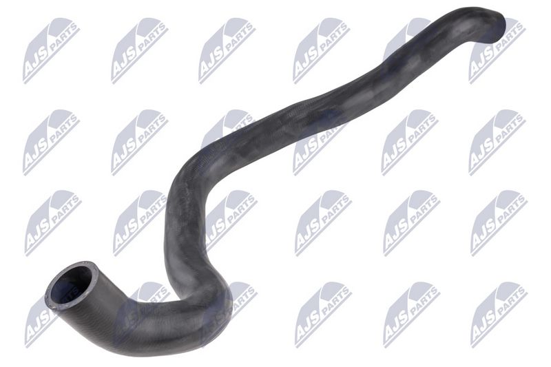 cpp-vw-056_1-wm.JPG