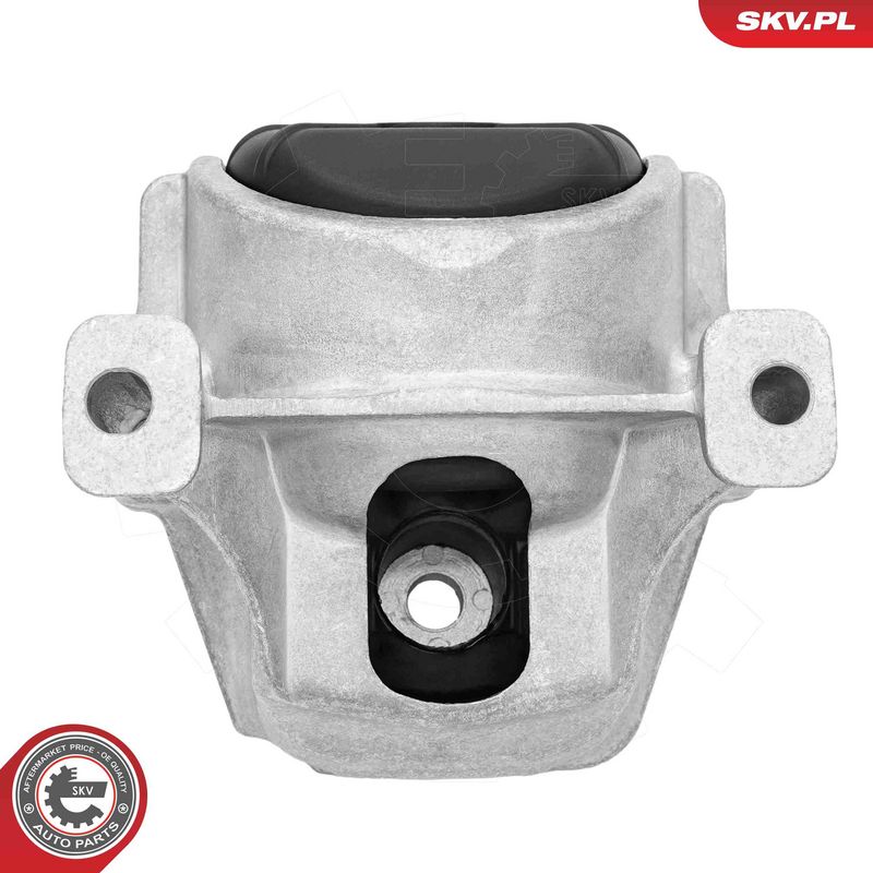 Paigutus, Mootor, ESEN SKV 75SKV171