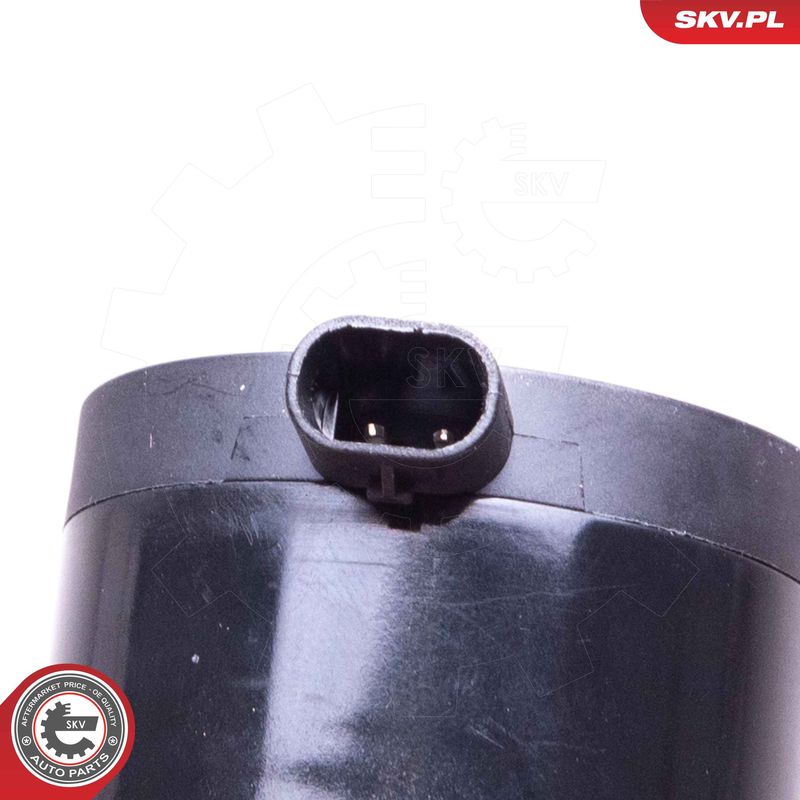 ESEN SKV 22SKV033 Auxiliary Water Pump (cooling water circuit)