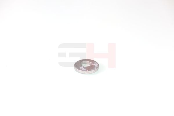 caster shim, sillatala, GH GH-391582