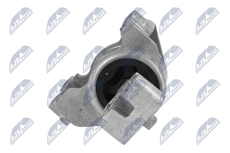 Paigutus, Mootor, NTY ZPS-PE-031
