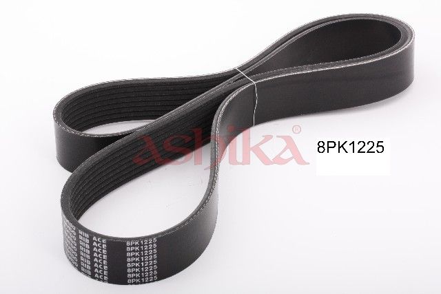 ASHIKA 112-8PK1225 - V formos rumbuotas diržas