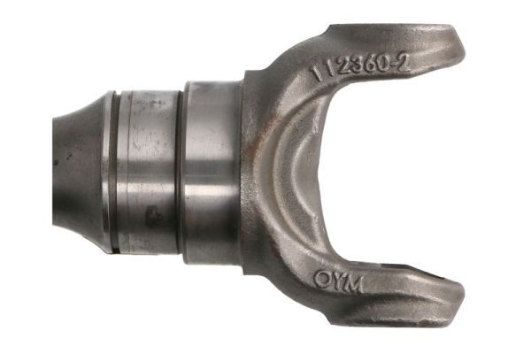 Image 3