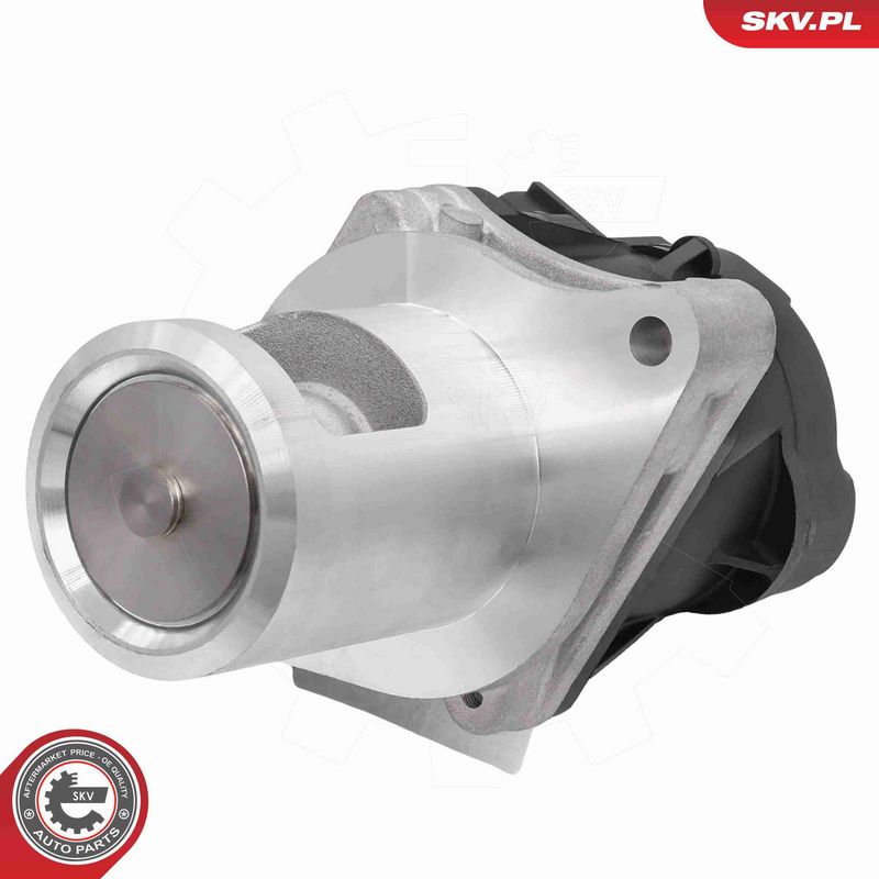 ESEN SKV 14SKV297 EGR vožtuvas