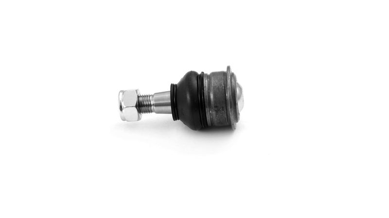 SKF VKDS812005 Šarnyras / girgždukas
