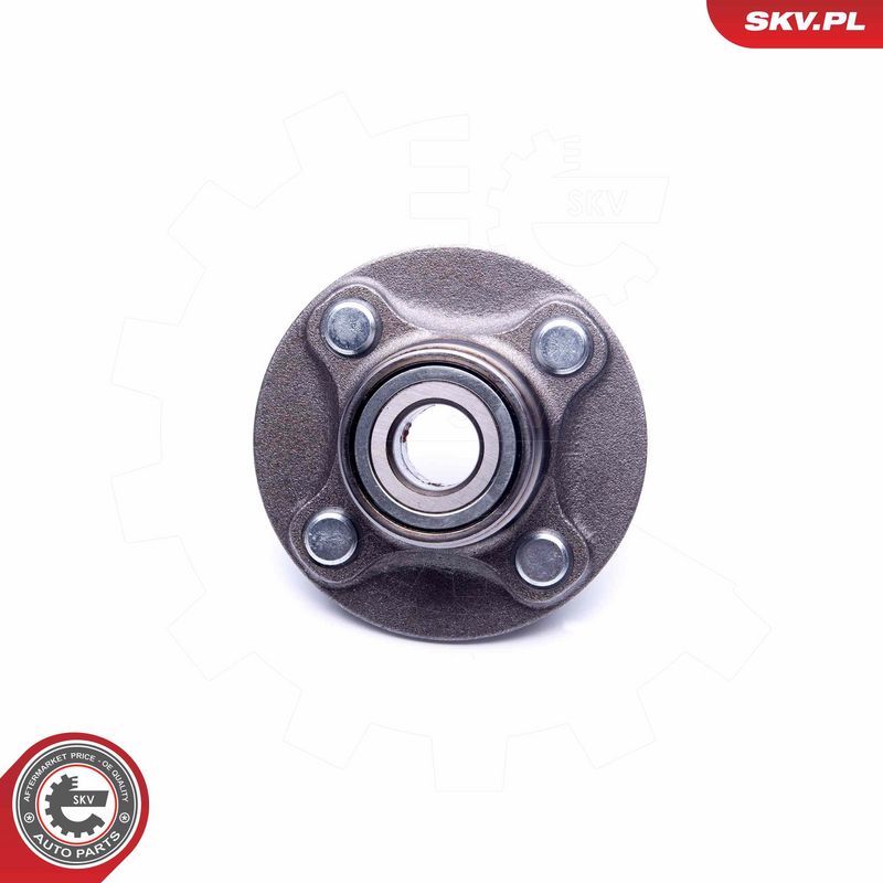 Rattalaagrikomplekt, ESEN SKV 29SKV208