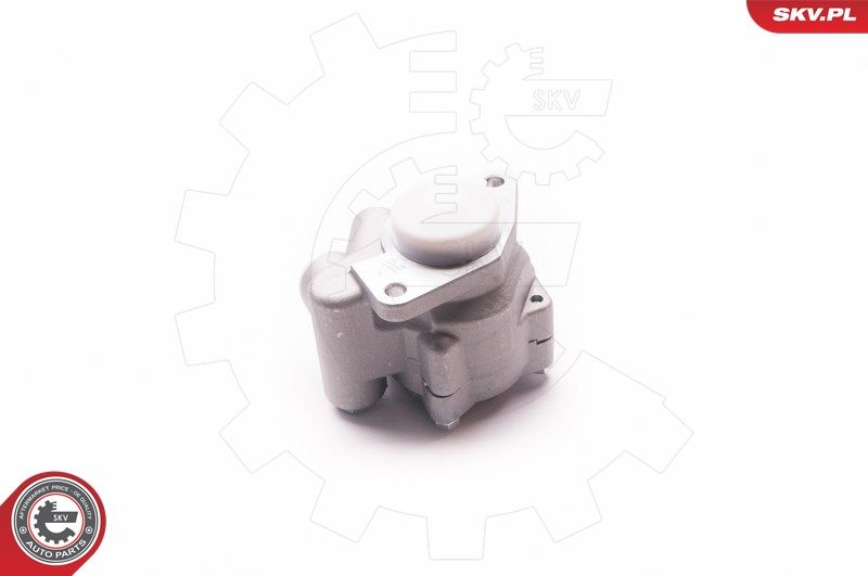 ESEN SKV 1SKV0010 Hydraulic Pump, steering