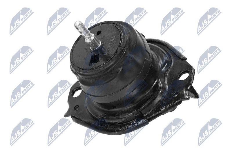 Paigutus, Mootor, NTY ZPS-CH-091